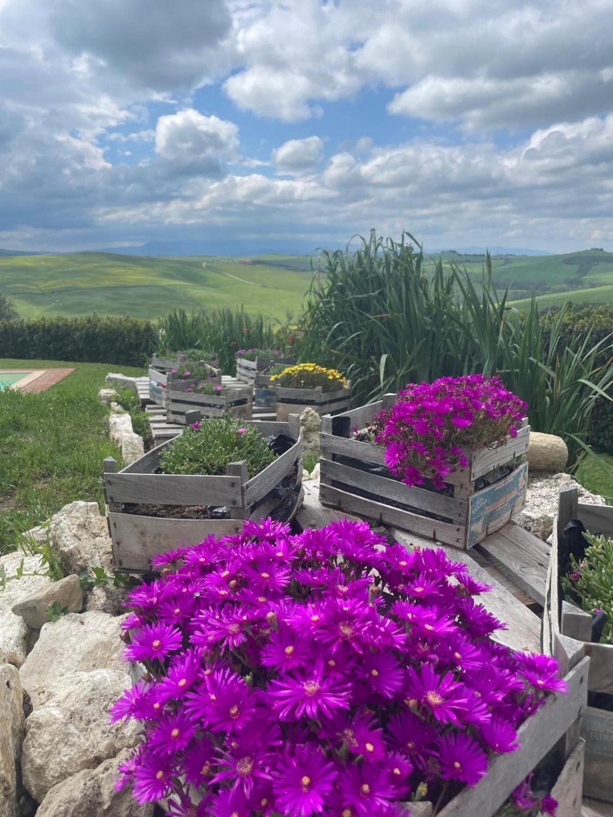 Vila Agriturismo Bombina Montisi Exteriér fotografie